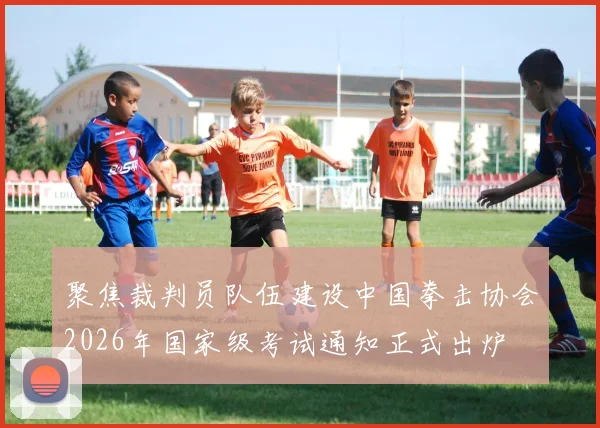 聚焦裁判员队伍建设中国拳击协会2026年国家级考试通知正式出炉