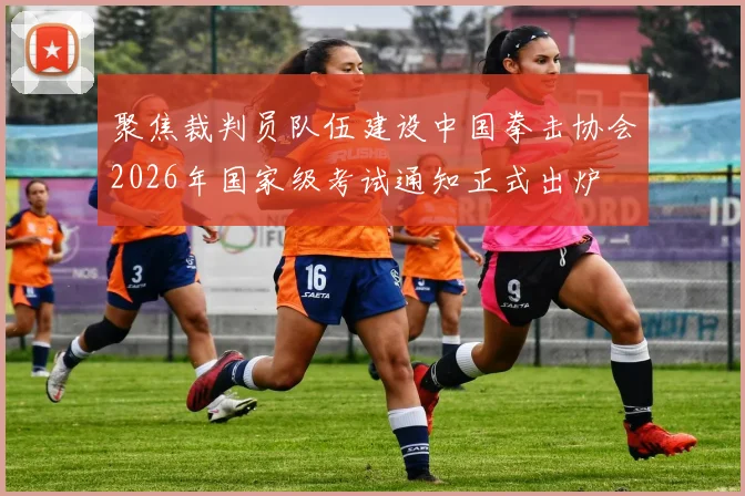 聚焦裁判员队伍建设中国拳击协会2026年国家级考试通知正式出炉